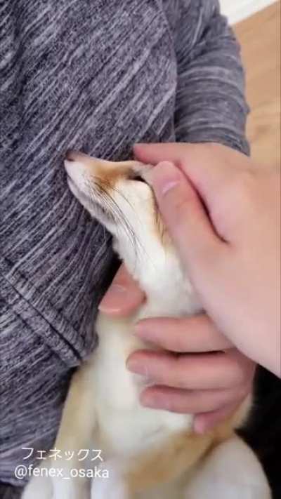 Time of his life