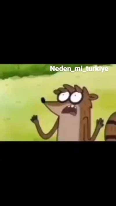 Pajalenta.jpk