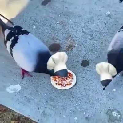 Blursed_chef