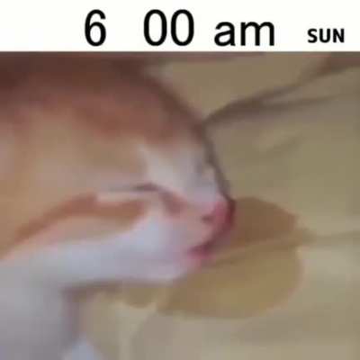 Me