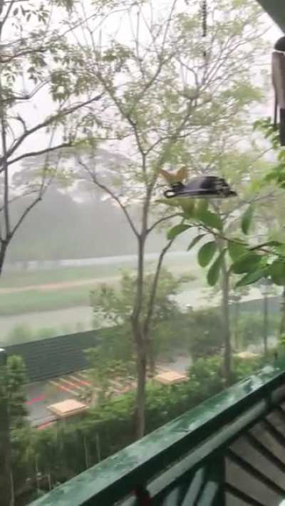 Morning rains are the absolute best thing!