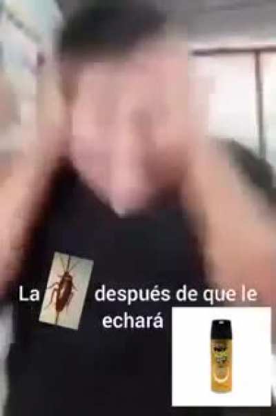 &ordf;