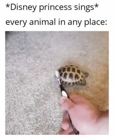 This litterally happens in every disney film (0.0)