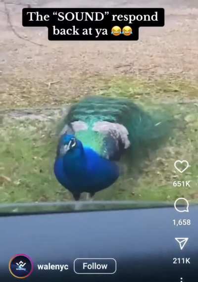 Look at this absolute creature 