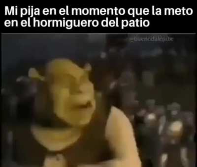 Re yo