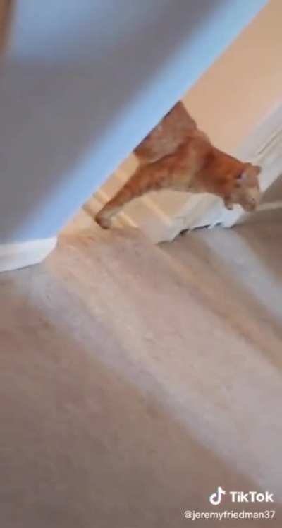 He has been fed