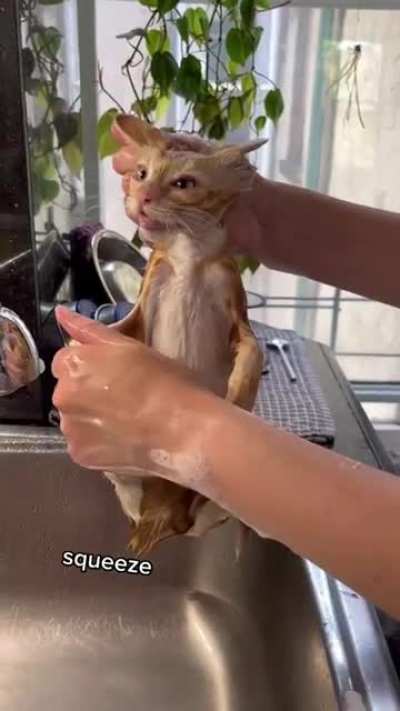 💅🐟