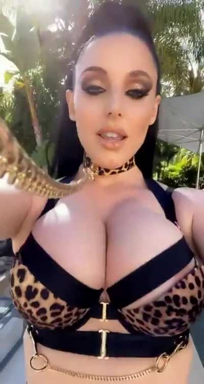 Bimbo on a leash