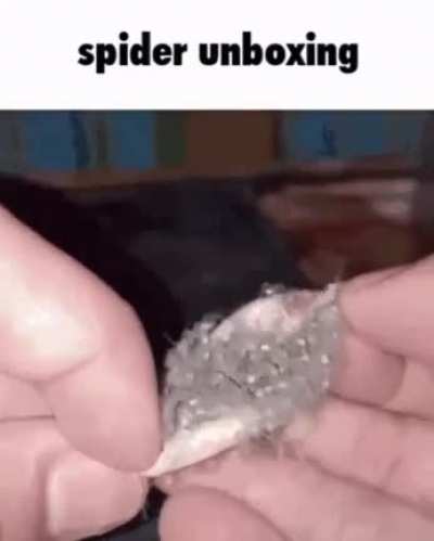 It has arrived