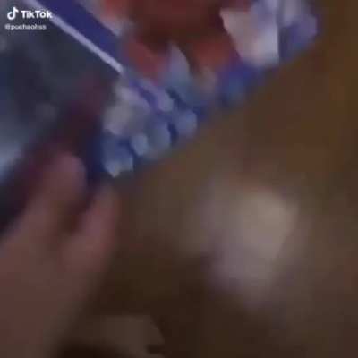 Epicardo el regalo