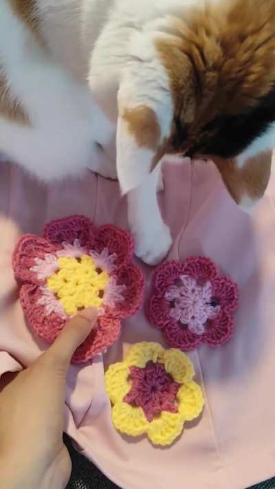 Not letting me sew appliques