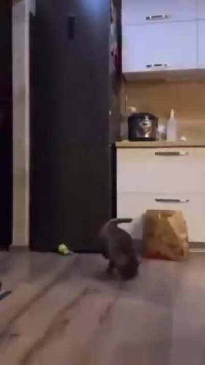 Breakdancing the way out ( not mine)