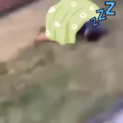 A mimir