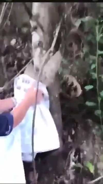 Thanks for the fly