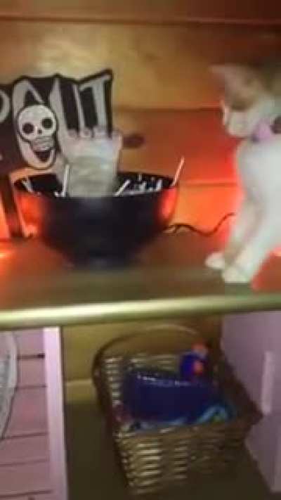 halloween is coming
