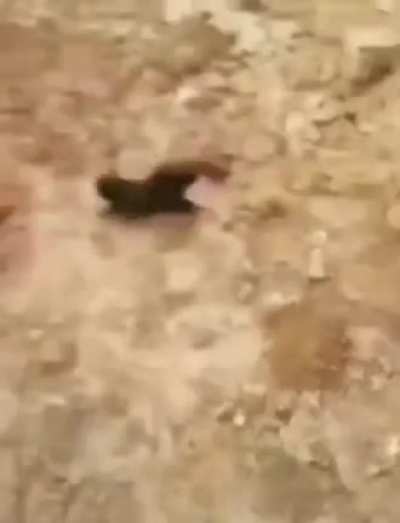 Hole in one