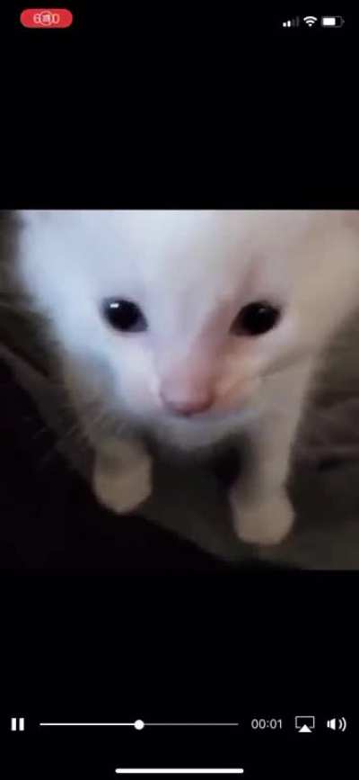 He scream