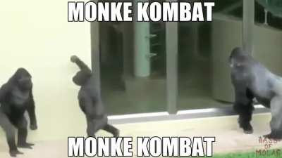 🐵