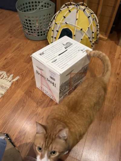 Rusty wants in the box