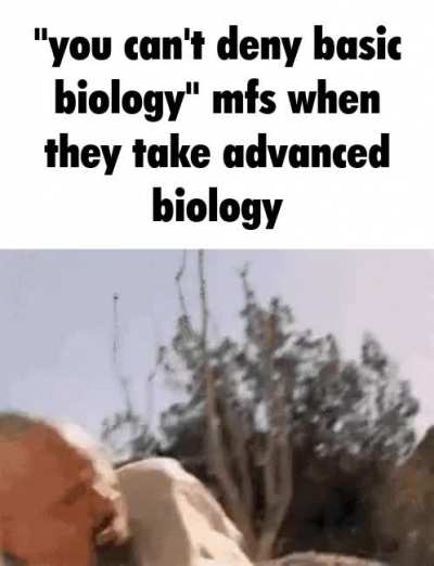 me_irlgbt