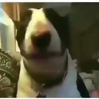 😳
