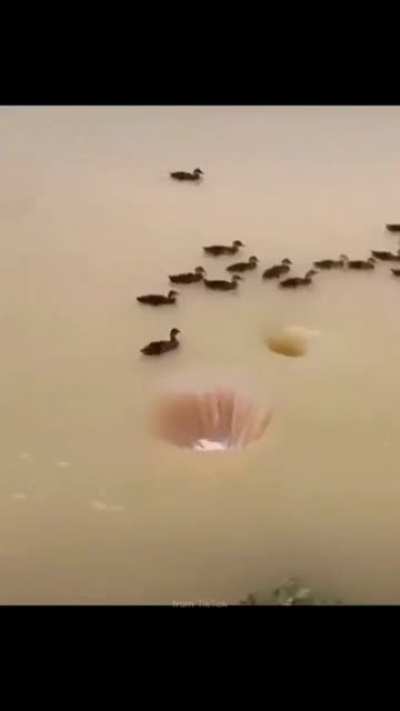 Hmmm