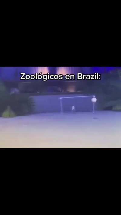 futebol arte