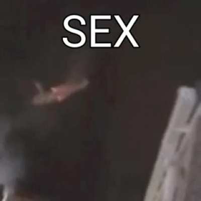 SEX