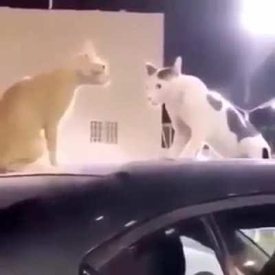 😰