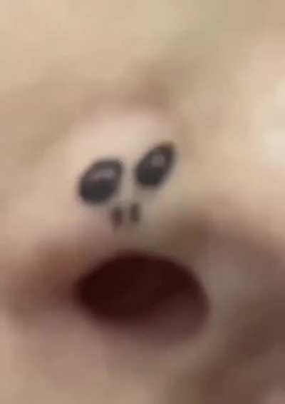Поющая ноздря