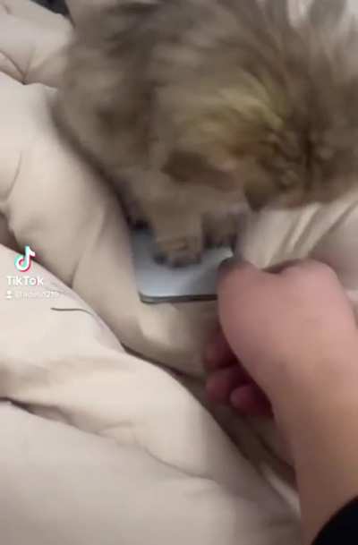 Don&rsquo;t take my phone