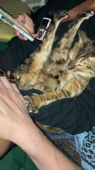 Does this count??