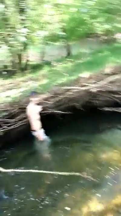 DANCE MONKEY