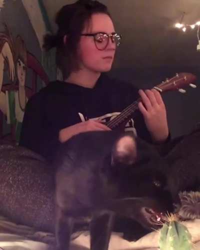 Last Vid