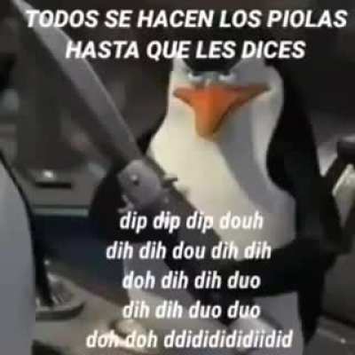 Piola