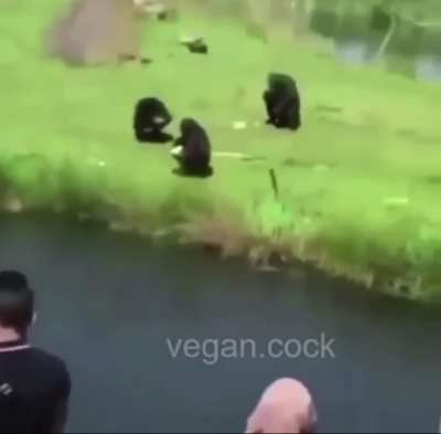 Me when monke