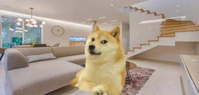 Le test has arrived