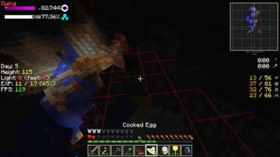 Was Playing Minecraft Modded