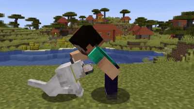 I spent my day creating this mod that allows you to pet your dog
