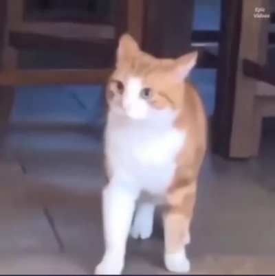 Oh fuck