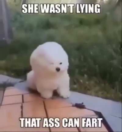 :o