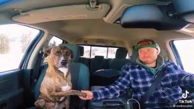Driving with Lily