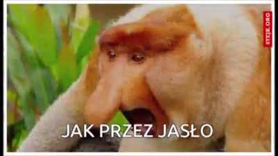 memy o jasle B)))
