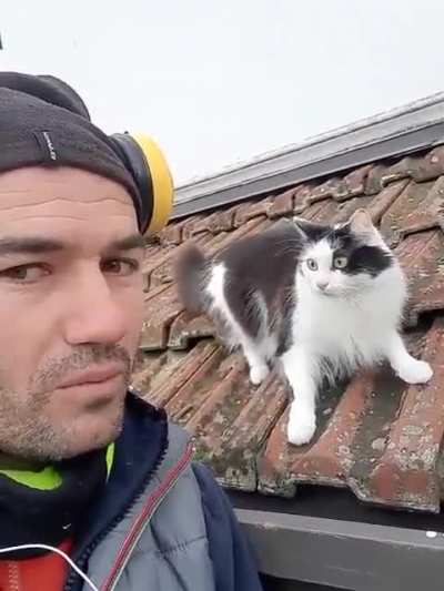 Cat in shock.
