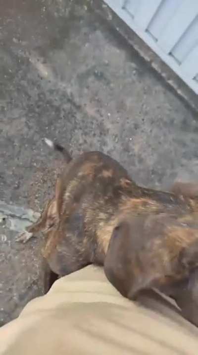 &Oacute; as ideia!