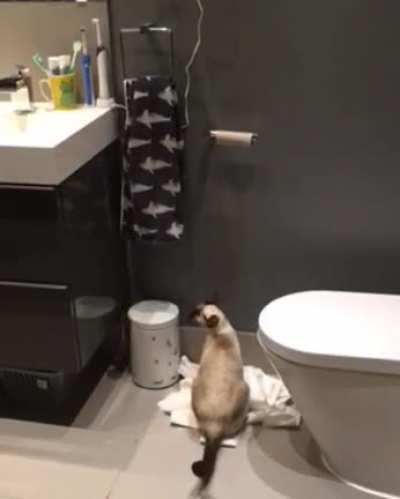"OK, done that, what shall I do next?"