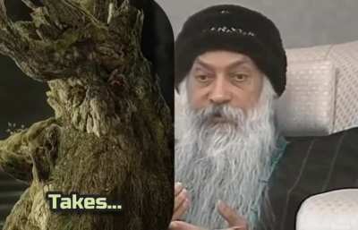 "Ents don't believe in saying anything...unless it...takes...a long...time...to say."