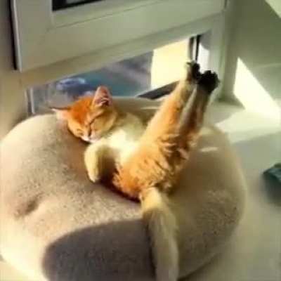Sunday Mood..