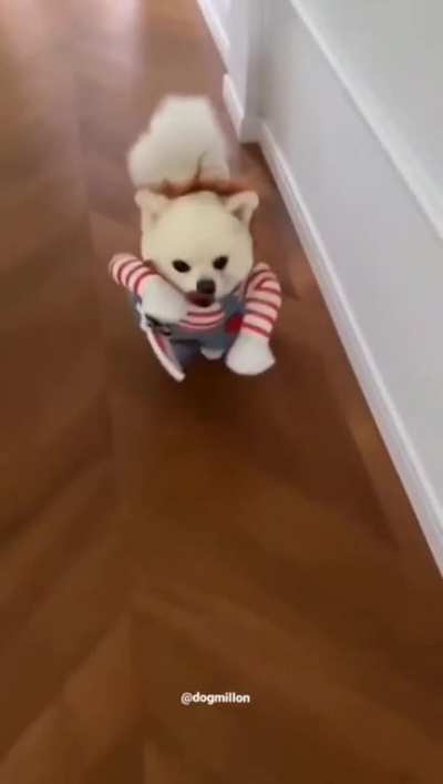 Deadly Doll Pet