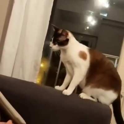Boo!